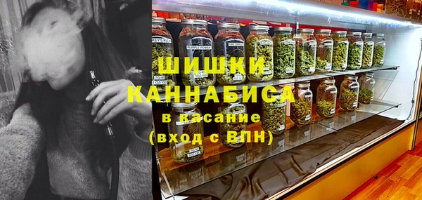 ГАЛЛЮЦИНОГЕННЫЕ ГРИБЫ Пересвет