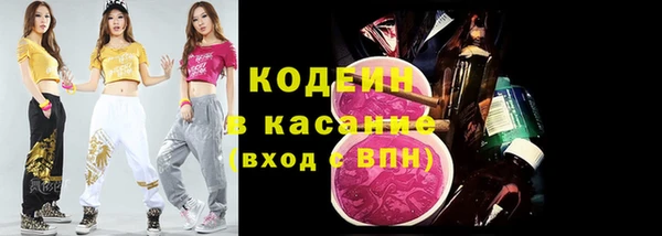ГАЛЛЮЦИНОГЕННЫЕ ГРИБЫ Пересвет