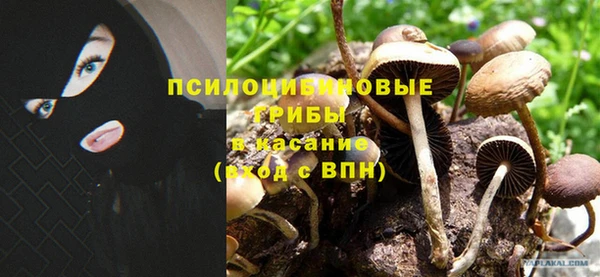 ГАЛЛЮЦИНОГЕННЫЕ ГРИБЫ Пересвет