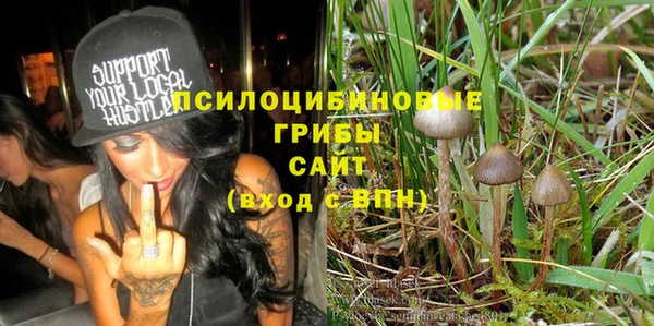 ГАЛЛЮЦИНОГЕННЫЕ ГРИБЫ Пересвет