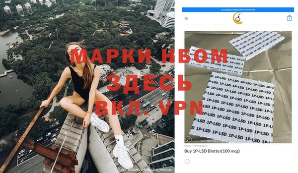 ГАЛЛЮЦИНОГЕННЫЕ ГРИБЫ Пересвет